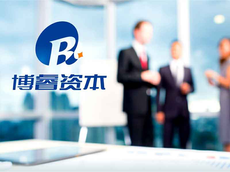 博睿资本——VIS系统设计